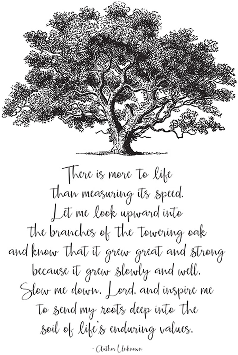 The Oaks at Francis - Poem